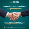 Gratis Soft Solutions: Digital Marketing, PPC SEO, Social Media Marketing , Website Designing Company In Zirakpur Avatar